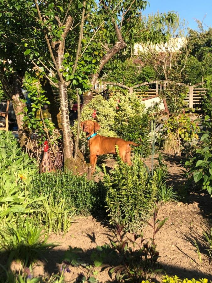 Bed and Breakfast Le Cerisier Saint-Barbant Exterior foto